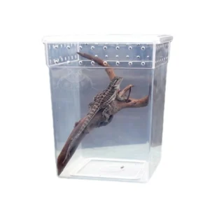 Breathable Reptile Breeder Box Enclosure for Spider Crickets Amphibian Supplies