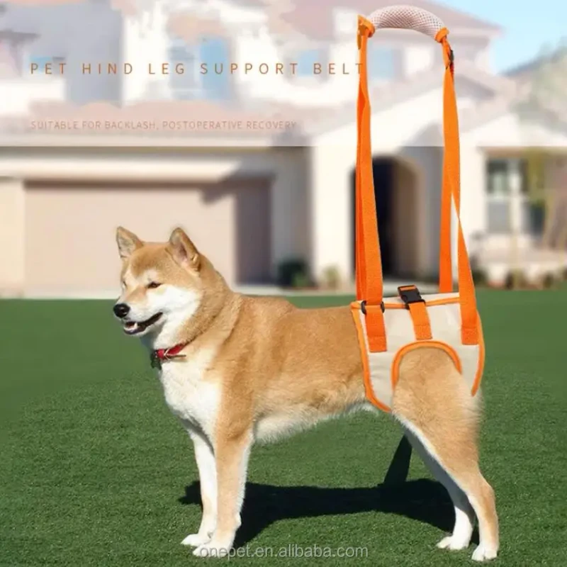 Breathable Sport Pet Health Recovery Training Dog Assist Belt Supports Elderly Dogs Hind Leg Disabilities Rehabilitation