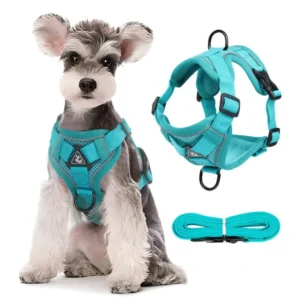 Breathable Straps for Outdoor Use Pet Leash with Adjustable Dog Harness