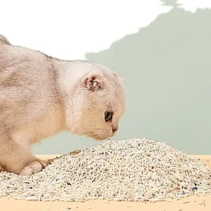 Bulk Cat Litter OEM Selling Low Tracking Tofu Cat Litter Clumping Flushable Odor Proof Dust Free Cat Litter