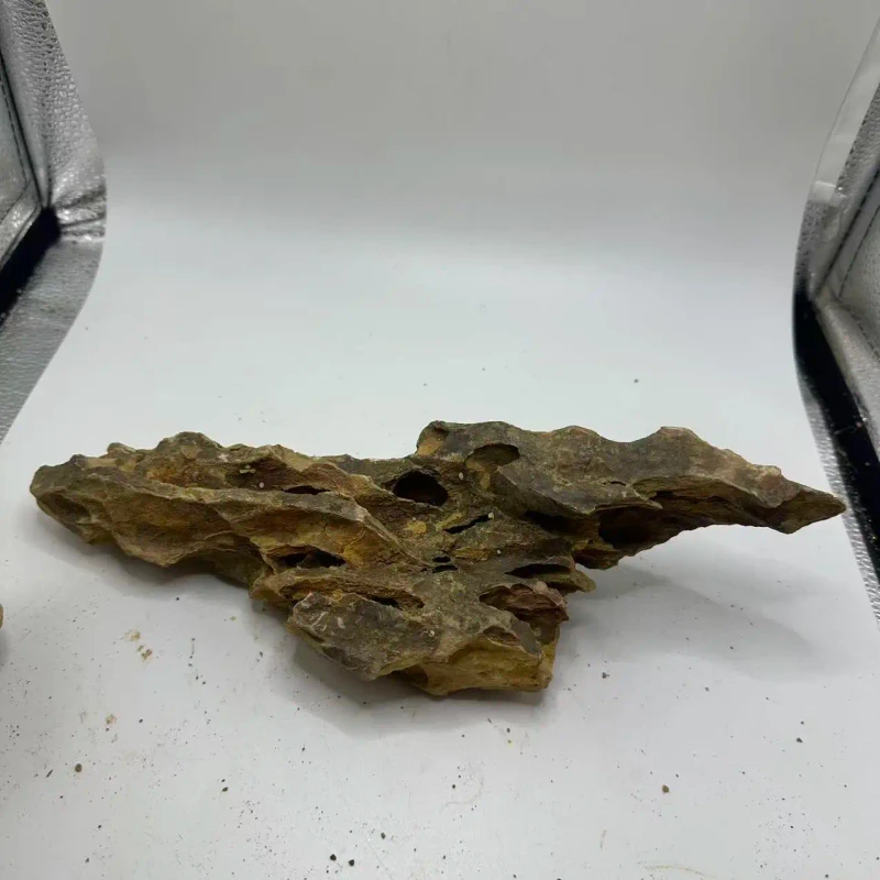 Bulk Dragon Stone Factory Direct Supply for Commercial Aquariums & Landscaping
