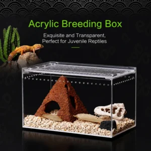 Captive Pet Acrylic Terrarium Plastic Tray Houses for Hermit Crab Frog Spider Dormouse Lizard Snake Turtle Reptile Ecological