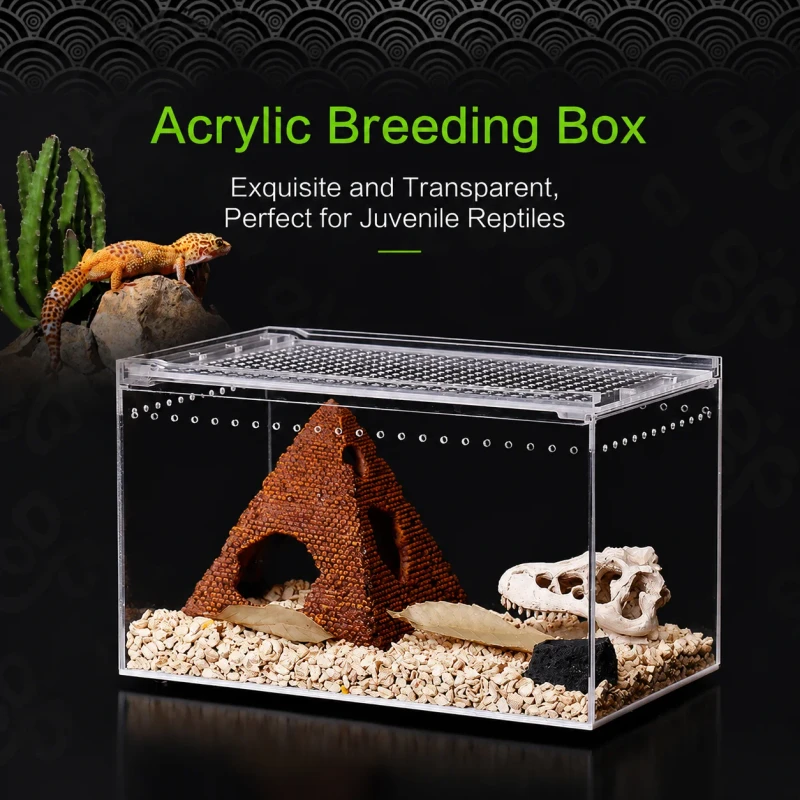 Captive Pet Acrylic Terrarium Plastic Tray Houses for Hermit Crab Frog Spider Dormouse Lizard Snake Turtle Reptile Ecological