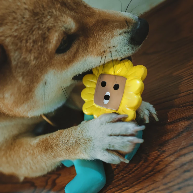 Cartoon Style Eco Friendly Waterproof Durable Interactive Anxiety Relief Boredom Buster Small Pet Squeaking Chew Toy Soft Latex