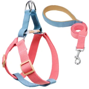 Cat Dog Harness and Lead Dog Colorful Harness and Leash No Pull Nylon Pet Leashes for Small Dog Pet Harness Leash Set