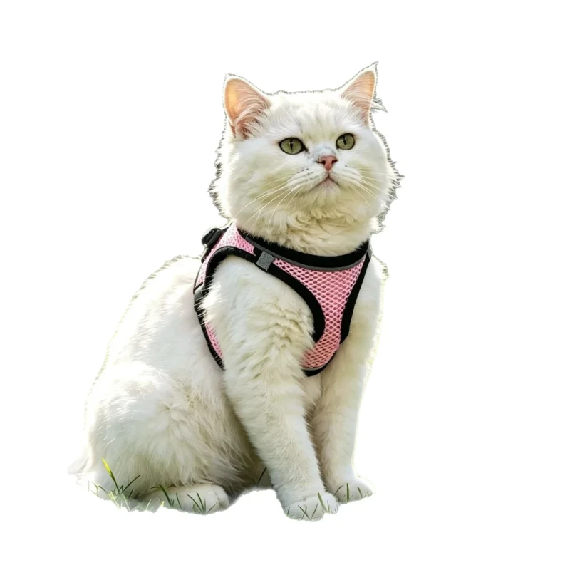 Cat Harness and Leash Set Polyester Luminous Reflective Anti escape Breathable New Style for Outdoor Use