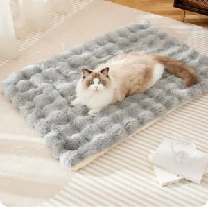 Cat Sleeping Bed Modern Pet Cage with Soft Features Sofa Cushion