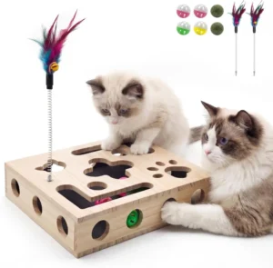 Cat Toys for Indoor Cats Cat Nail File Box W Interactive Toys Upgraded Cat Puzzle Feeder Scratch Puzzle Toy for Indoor Cats