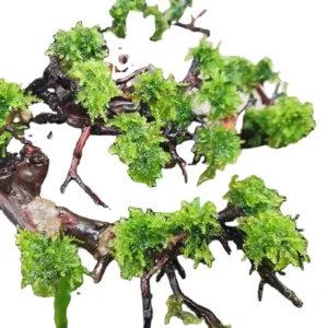 Ceramic Rockery Stone Aquarium Decoration Ornaments Eco Friendly Aquarium Accessories for Pet Tanks