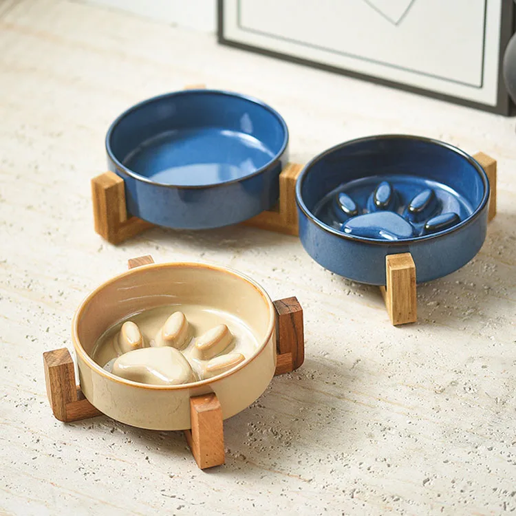 Ceramic Slow Feeder Non Spill Pet Bowl for Cats and Puppies and Medium Dogs