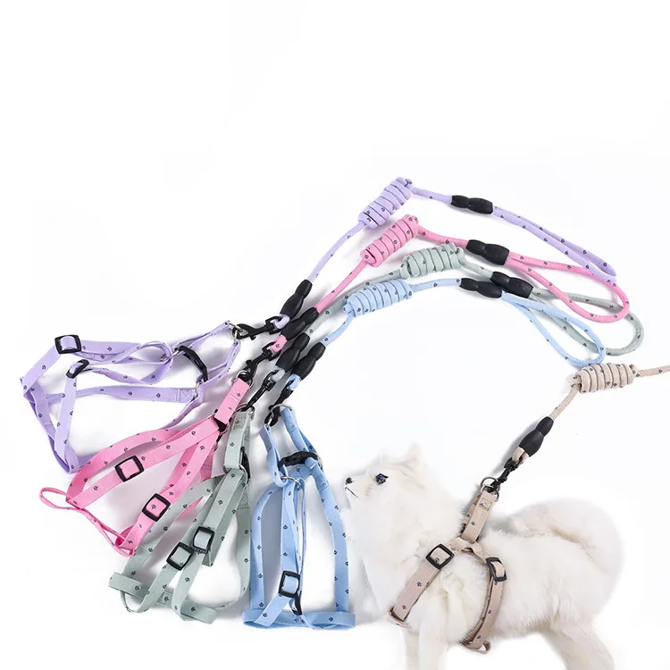 Chest and Back Dog Harness with Leash Vest Style Pet Harness for Small Dogs Leash for Dog Walking