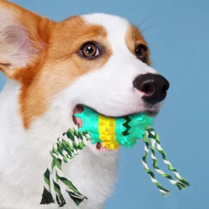 Chew resistant Squeaking Treat dispensing Ball Dog Toy for Teddy Corgi Golden Retriever Other Pet Dogs