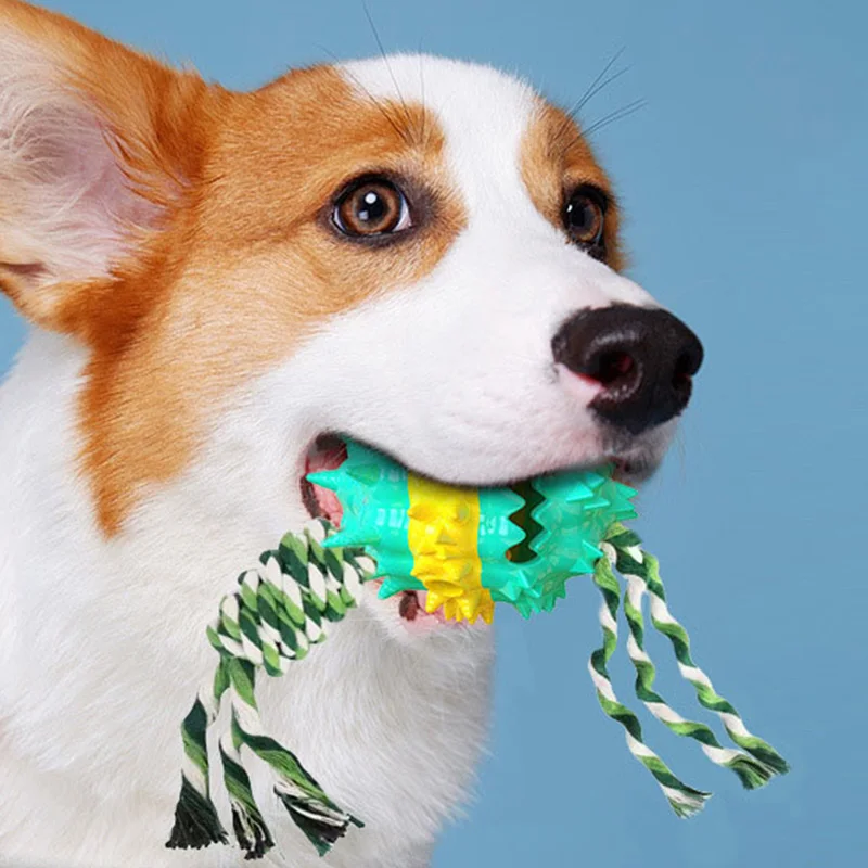 Chew resistant Squeaking Treat dispensing Ball Dog Toy for Teddy Corgi Golden Retriever Other Pet Dogs