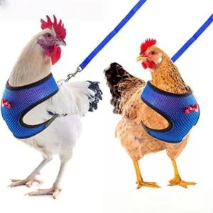 Chicken Duck Harness Leash Breathable Fashion Mesh Pet Vest Small Sizes Chest Escape Proof Harnesses for Small Cats and Dogs