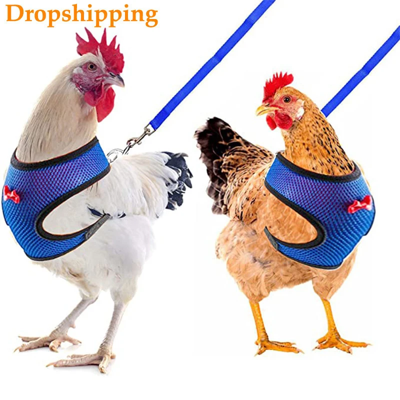 Chicken Leashes Pet Dog Collar and Leash Harness Set Dog Training Vest for Handler