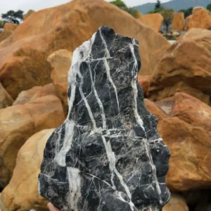 China Manufacture Quality Eco-Friendly Aquarium Decorative Qinglong Acid Black Seiryu Dragon Stone Custom Shape Irregular Design