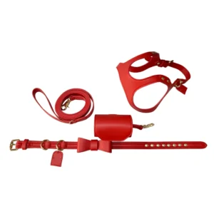 Christmas Gift Pet Products Dog Glasses Harness Dog Collar Leash Poop Bag Sets for Dog Walking Training