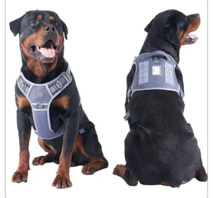 Classic Adjustable Dog Harness and Leash Collar Set With Premium Canine Pet Leashes Harnesses With Letter Patch