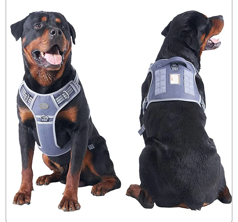 Classic Adjustable Dog Harness and Leash Collar Set With Premium Canine Pet Leashes Harnesses With Letter Patch