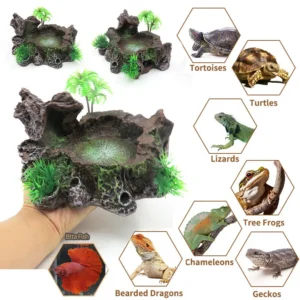 Classic Plastic Deco Resin Bowl for Reptiles Amphibians and Frogs Water and Food Feeding