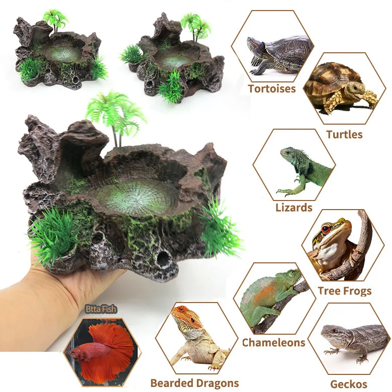 Classic Plastic Deco Resin Bowl for Reptiles Amphibians and Frogs Water and Food Feeding