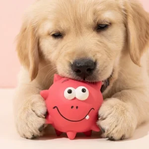 Classic Squeaky Ball Dog Chew Toy Small Cute Funny Face Design Latex Material