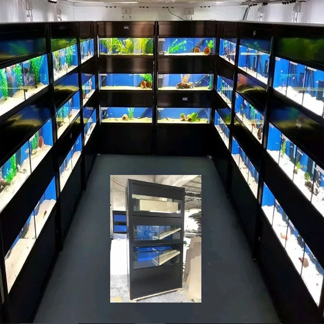 Clear Glass Fish Tank Aquarium Accessories System Display Racks