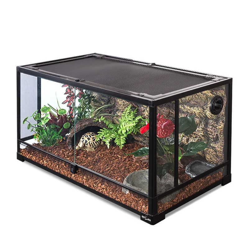 Closed Rectangular Reptile Terrarium for Lizard Gecko Land Turtle Snake Climbing Tropical Rainforest Landscape