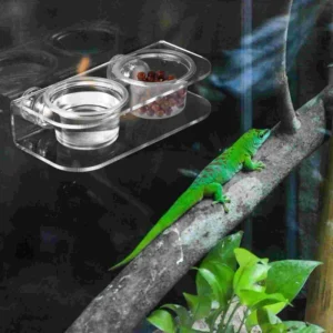 Color Changing Lippy Dragon Water & Food Bowl Feeder Reptile & Amphibian Supplies with Suction Cups & Ciliary Horn