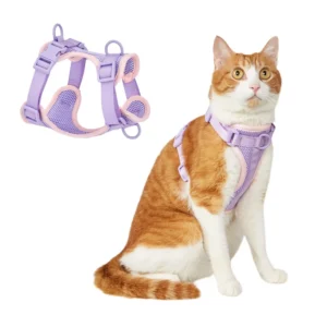 Colorful Designer Dog Custom Leash Dog Harness Set