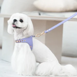 Colorful Diamond Luxury Pet Harness