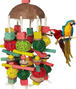 Colorful Eco Friendly Durable Coconut Shell Bird Chewing Toy Hanging Chain Parrot Cross Border Item Bird Supplies Indoor