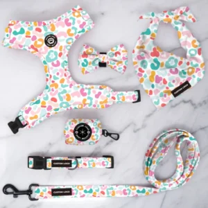 Colorful Leopard Print Dog Collar Designer Printing Personalized Adjustable Harness Vest Pet Boutique Popular Goods Customized