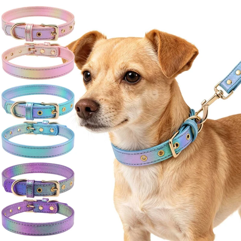 Colorful PU British Style Pet Collar for Medium and Small Dogs and Cats Adjustable Gold Buckle Wear Resistant