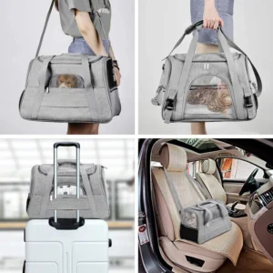 Colorful Pet Bag Cat Dog Carrier Travel Pet Cat Carrier Dog Carrier Bag