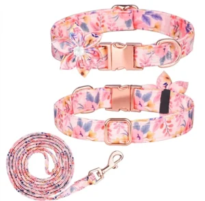 Colorful Printed Cat and Dog Collar with Gold Buckle Polyester Pet Leashes and Collars with Removable Flower Knot