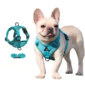 Comfort Nylon Fashion Pet Harness with POM Buckle Adjustable Secure Fit for Small Dogs Puppy Leash for Outdoor Traveling