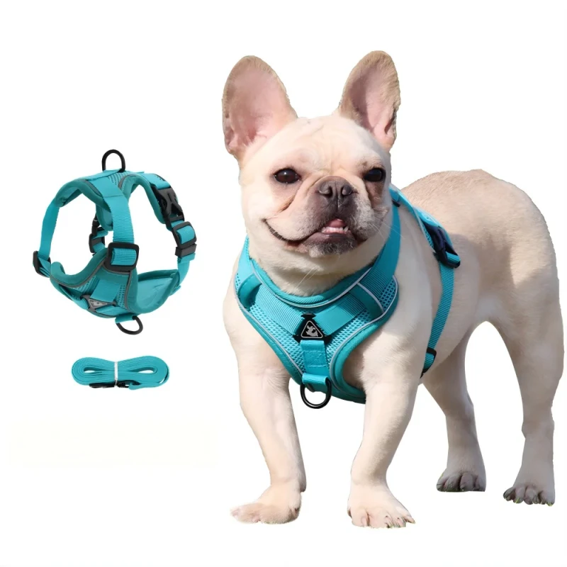 Comfort Nylon Fashion Pet Harness with POM Buckle Adjustable Secure Fit for Small Dogs Puppy Leash for Outdoor Traveling