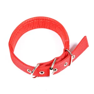Comfortable Breathable Adjustable Nylon Pet Dog Collar