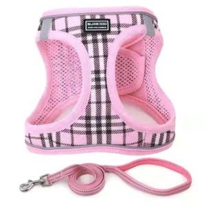 Comfortable Cute Pet Walking Harness Daily Outdoor Use Adjustable Chest Strap Reflective Breathable for Closure for Small