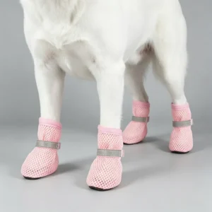 Comfortable Waterproof Summer Polyester Mesh Run Free Pet Dog Sport Shoes with Soft Soles Socks for Walking Out Cute