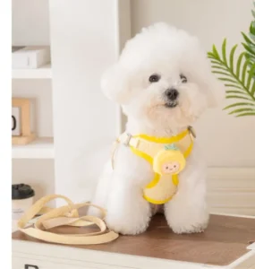 Comfortable and Breathable Pet Dog Leash Harness Set Premium Pet Harnesses