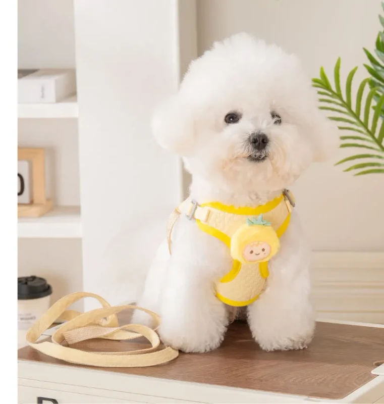 Comfortable and Breathable Pet Dog Leash Harness Set Premium Pet Harnesses