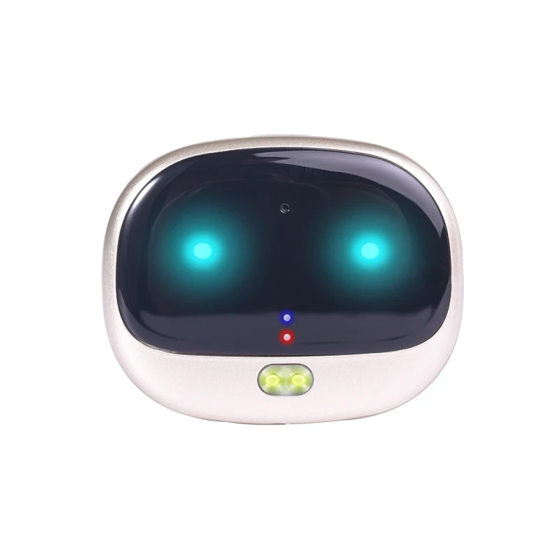 Compact Portable 4G Tracking Device Mini Pet GPS Tracker for Dog and Cat