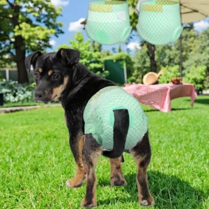 Competitive Disposable Pet Diapers Custom SAP Core Design One Stop Manufacturing Branded Packaging