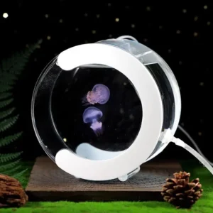 Contemporary Design Freestanding Glass Fish Tank Home Decoration Aquarium Accessories Bedroom Lighting