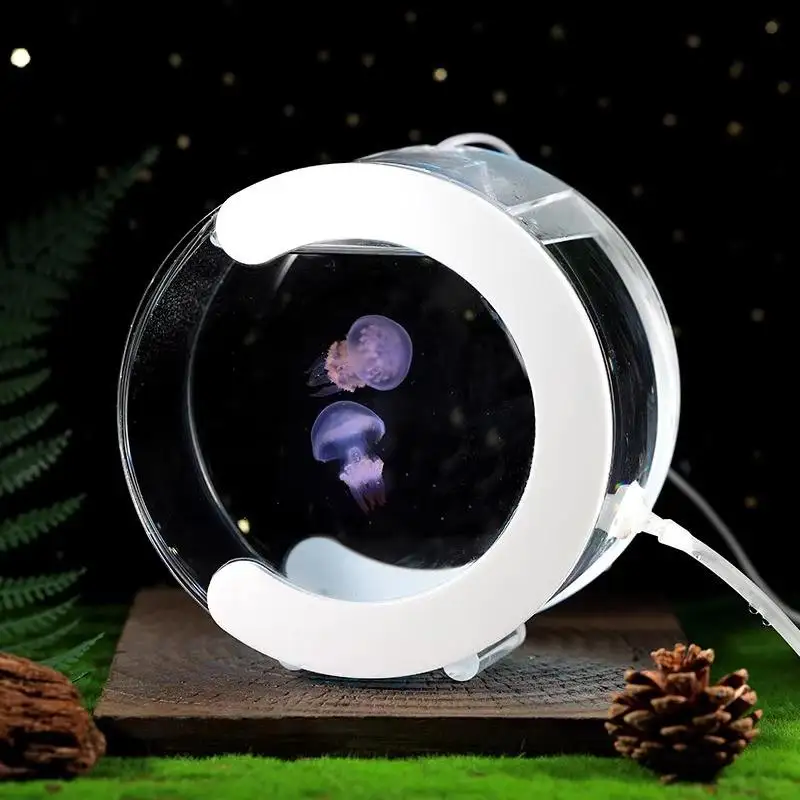 Contemporary Design Freestanding Glass Fish Tank Home Decoration Aquarium Accessories Bedroom Lighting