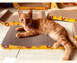 Corrugated Paper Cat Scratcher Wear Resistant Shavings Scratch Resistant Cat Toys Corrugated Cat Trees