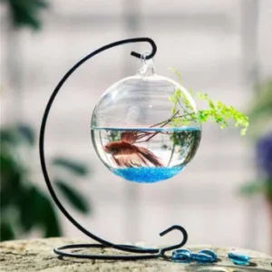 Creative Desktop Tank Decoration Transparent Goldfish Bowl Fish Tank Aquarium Aquarium Tank Aquarium