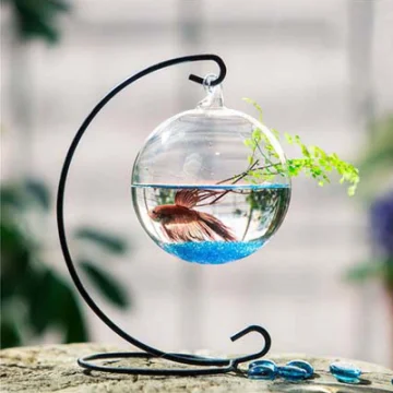 Creative Desktop Tank Decoration Transparent Goldfish Bowl Fish Tank Aquarium Aquarium Tank Aquarium